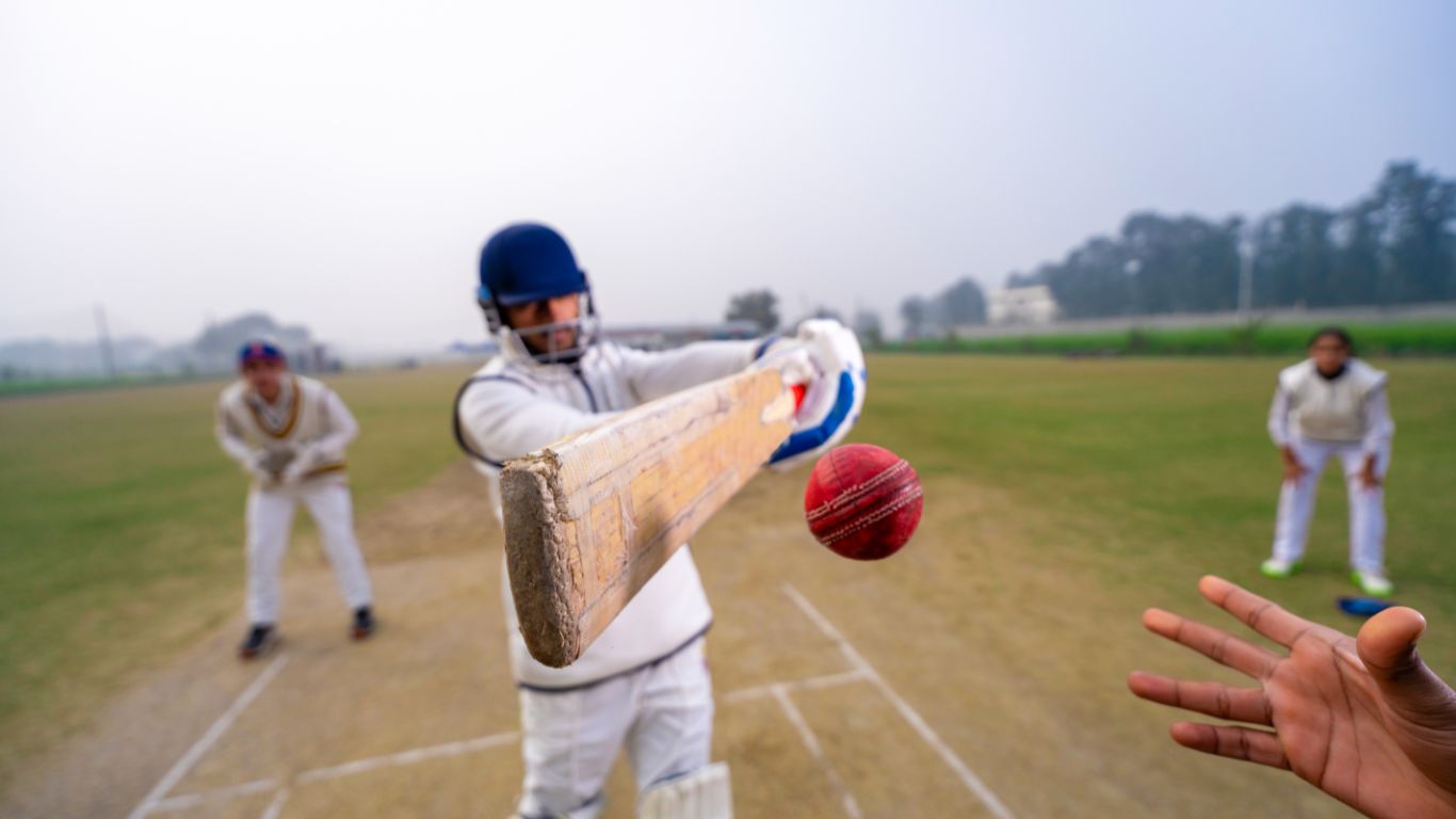 Wheon Cricket 07