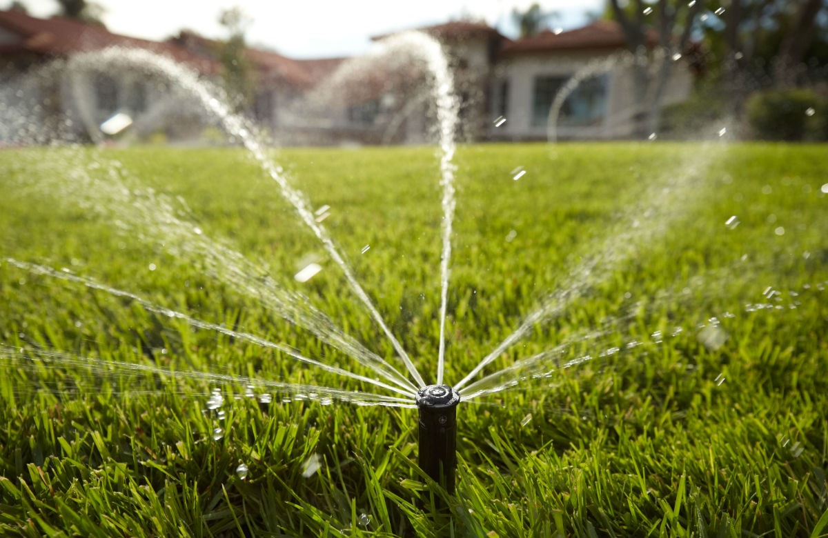 Transform Your Yard: Essential Services for a Perfect and Healthy Landscape